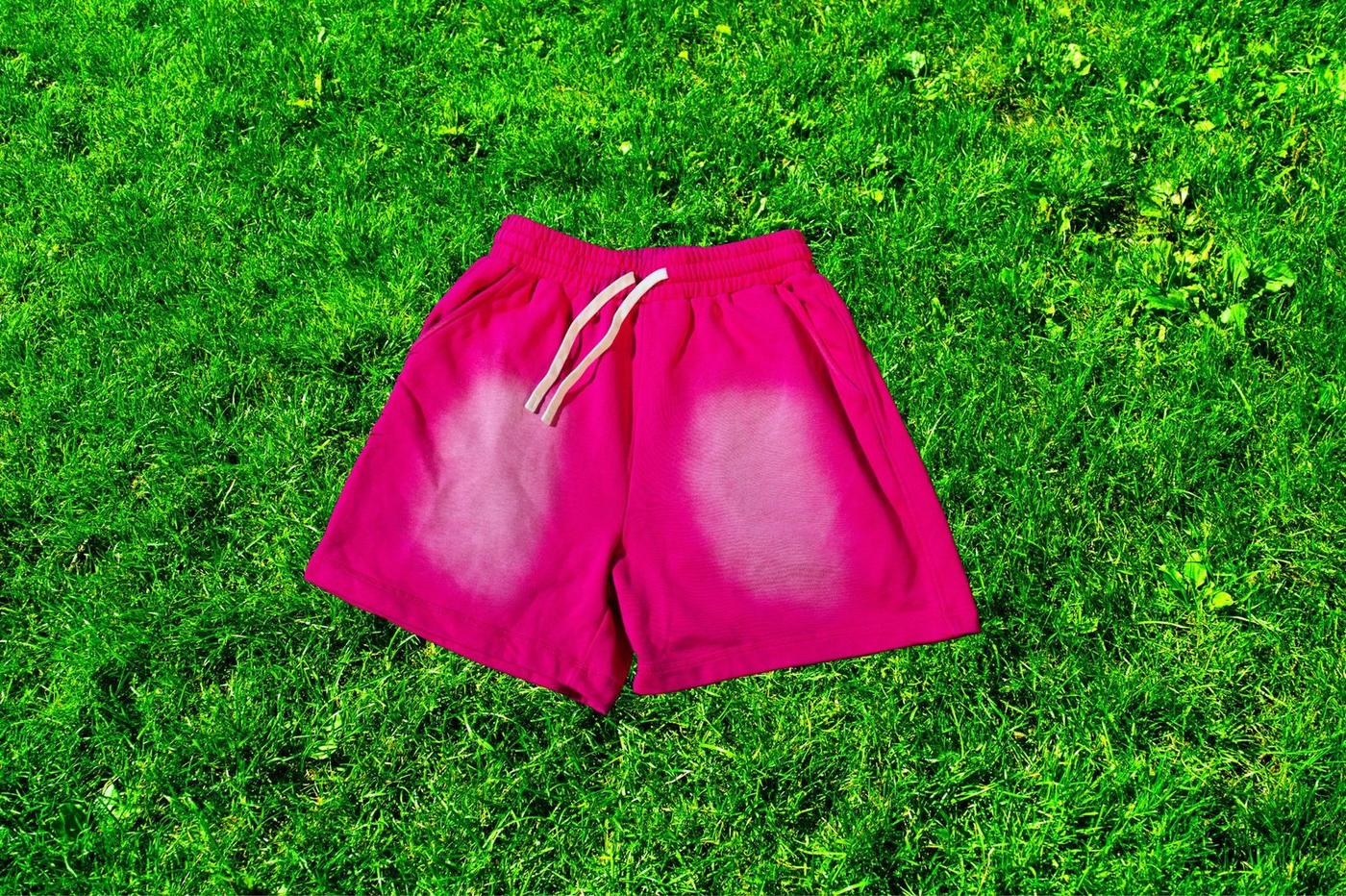 THE WATERMELON SHORTS alt view