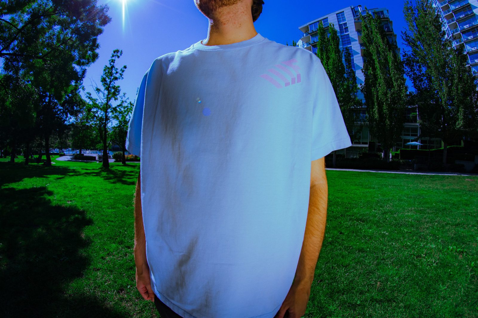 THE BLUEBERRY PIE TEE alt view