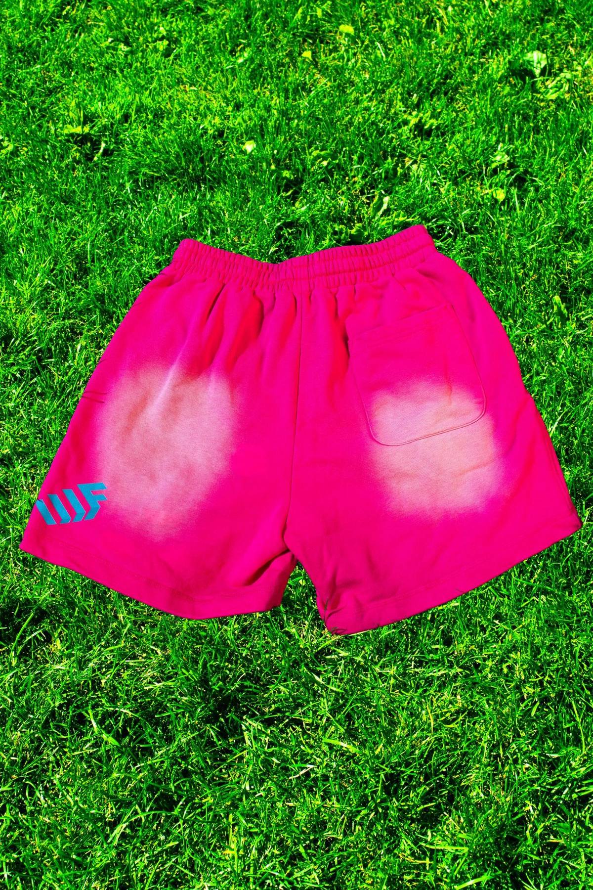 THE WATERMELON SHORTS